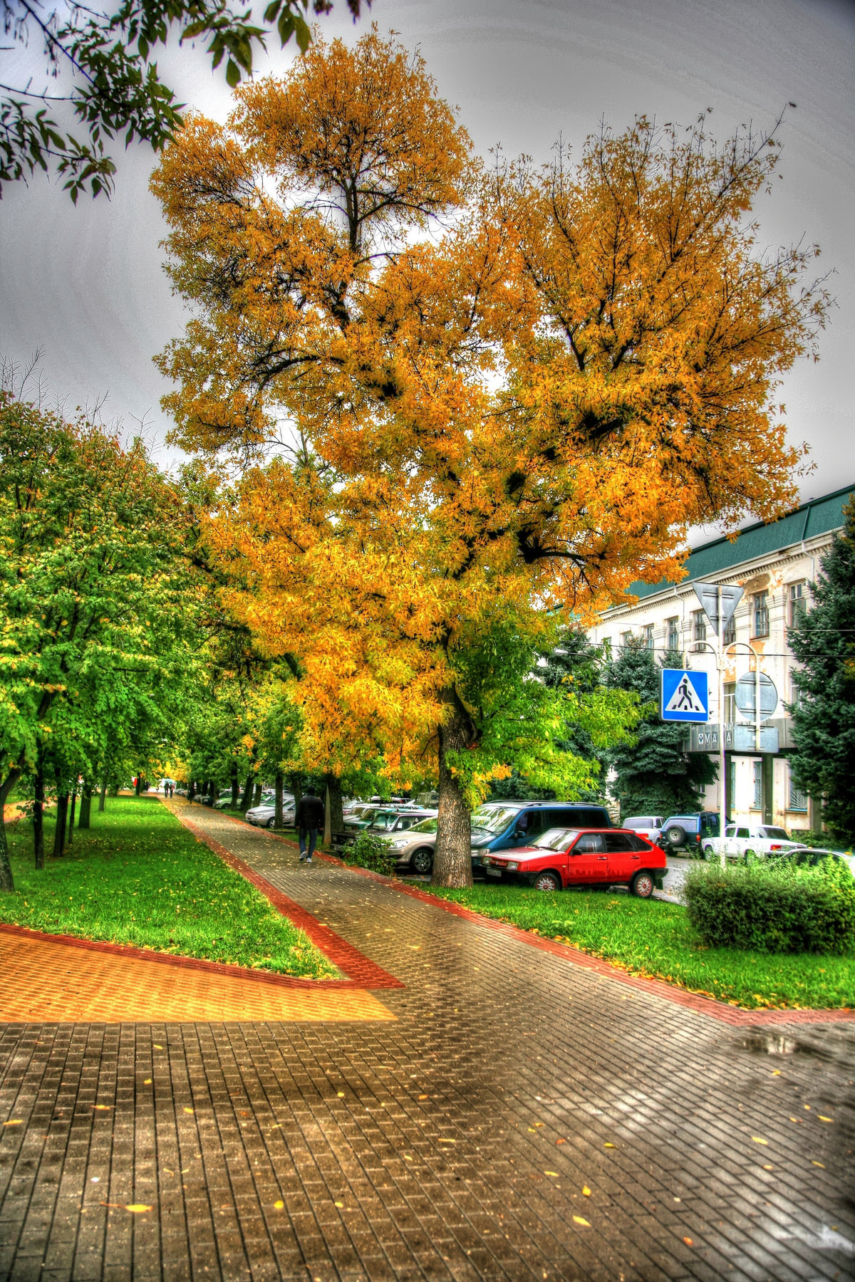 Осень! 