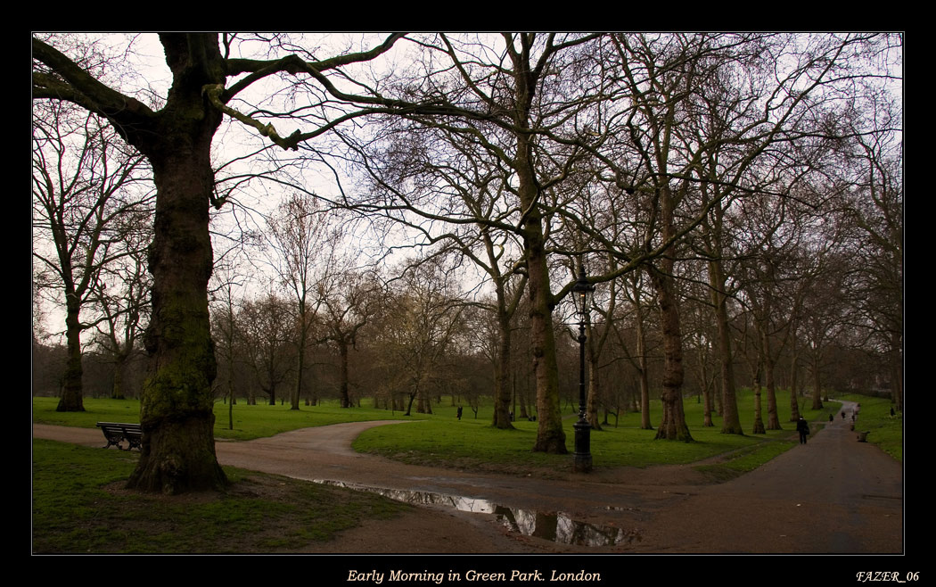 Green Park - Good Morning, London утро Лондон парк умиротворенность