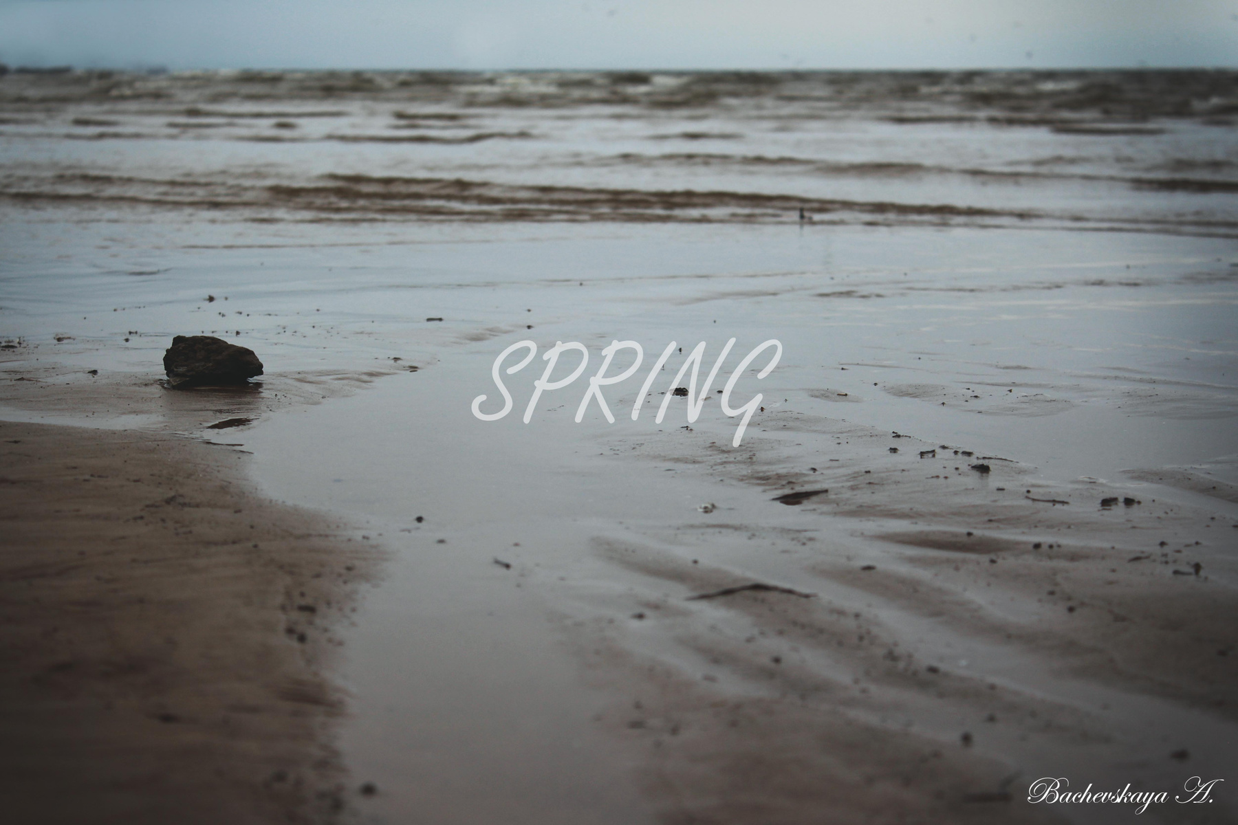 Spring 