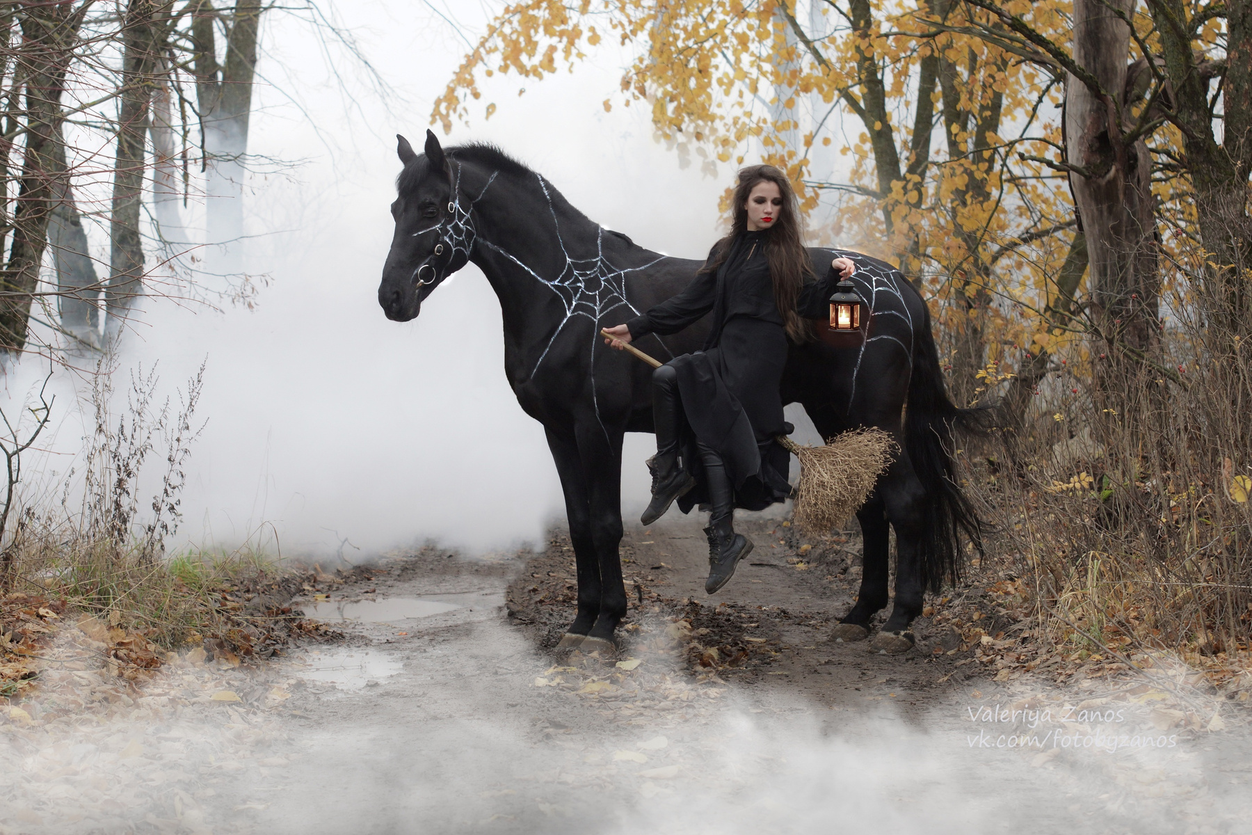 Скоро Вальпургиева ночь! хэллоуин halloween лошадь ведьма дым