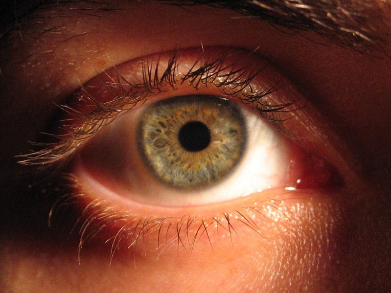 Eye #2 Портрет Глаз Макро