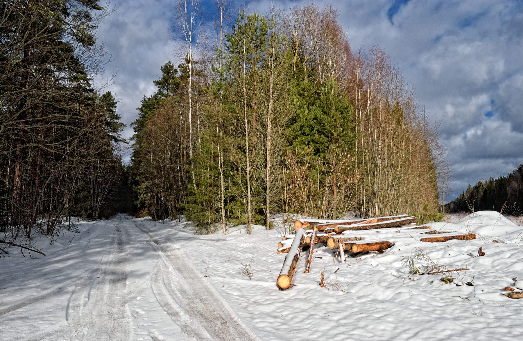 Winter landscape 