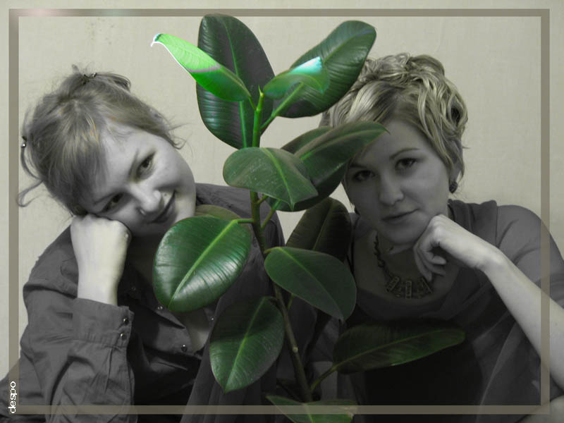 Дети цветы мира сестра