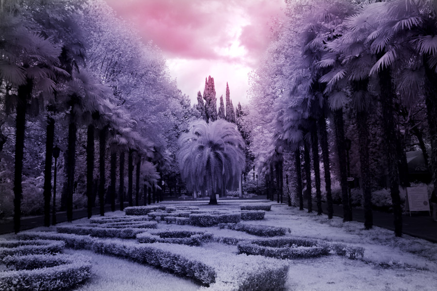 another world 