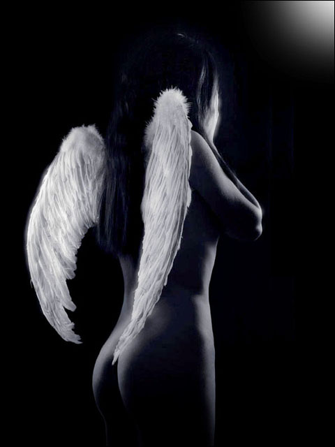 Angel 