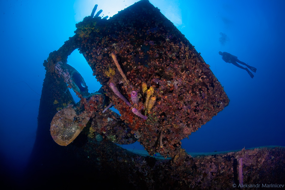 Жизнь на руле Wreck Hilma Hooker Bonaire рэк затонувшие объекты Борэйр карибы