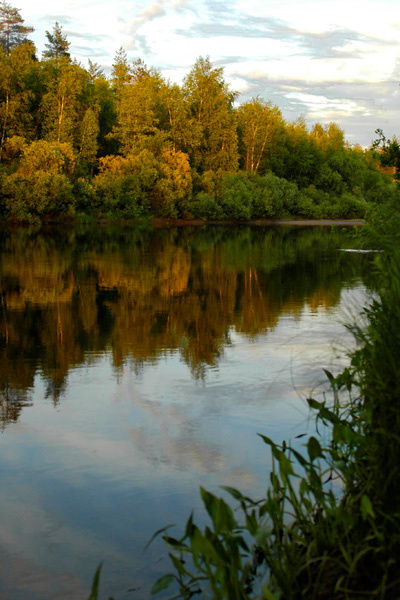 осень на Пре осень река Пра