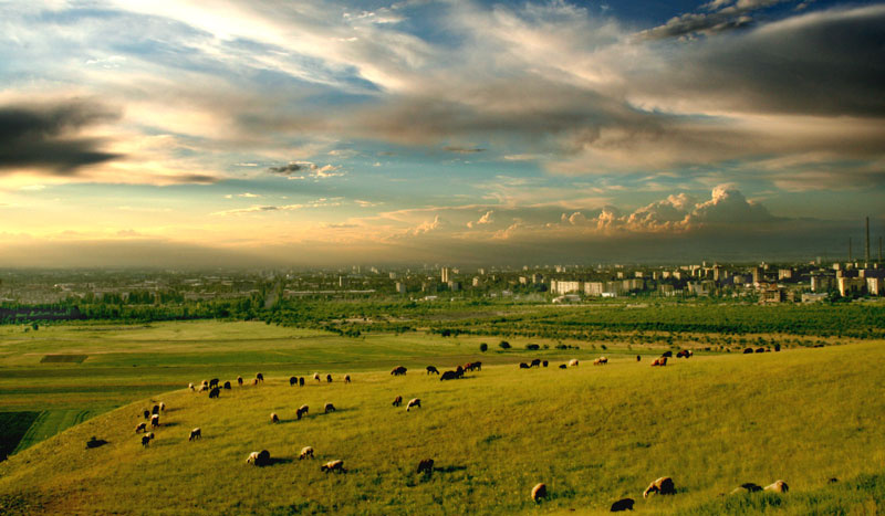 ГОРОД 312 