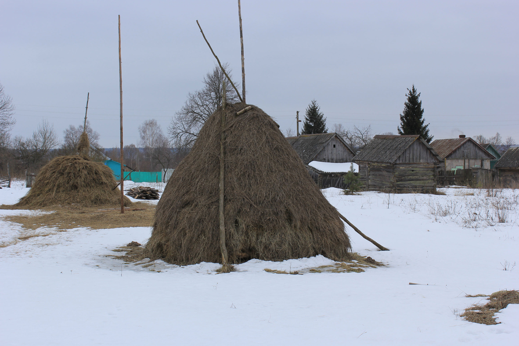 До лета хватит 