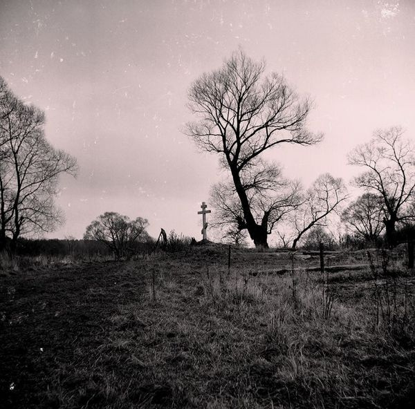 бессонница 2 Lubitel 166