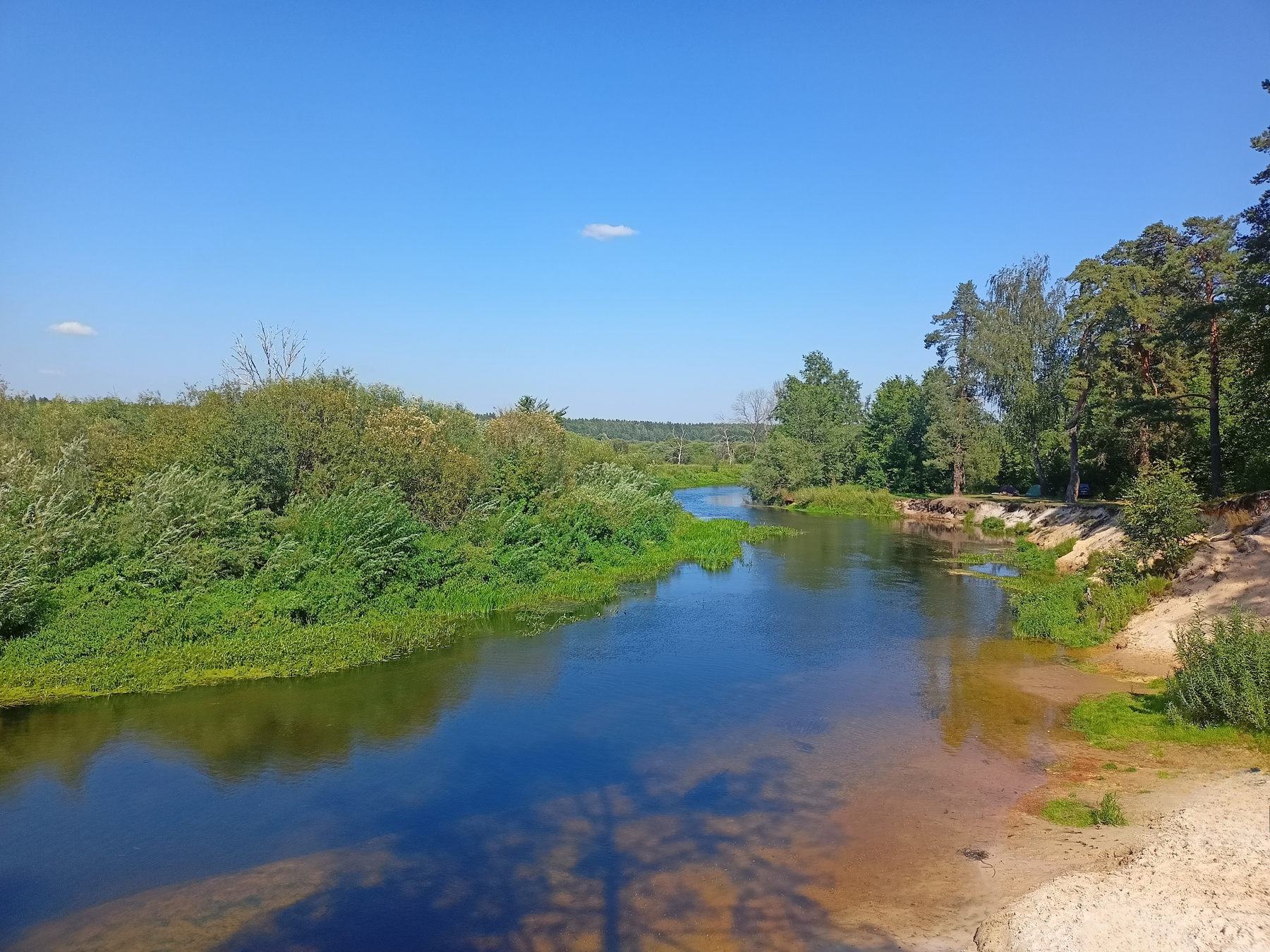 тот редкий миг, когда дерево может полюбоваться собой река тени дерево