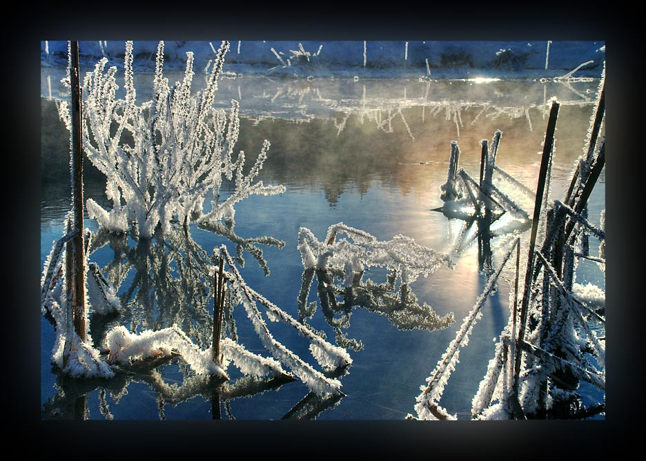 Морозное утро  зима мороз