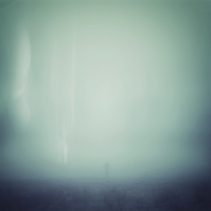 In the mist 
