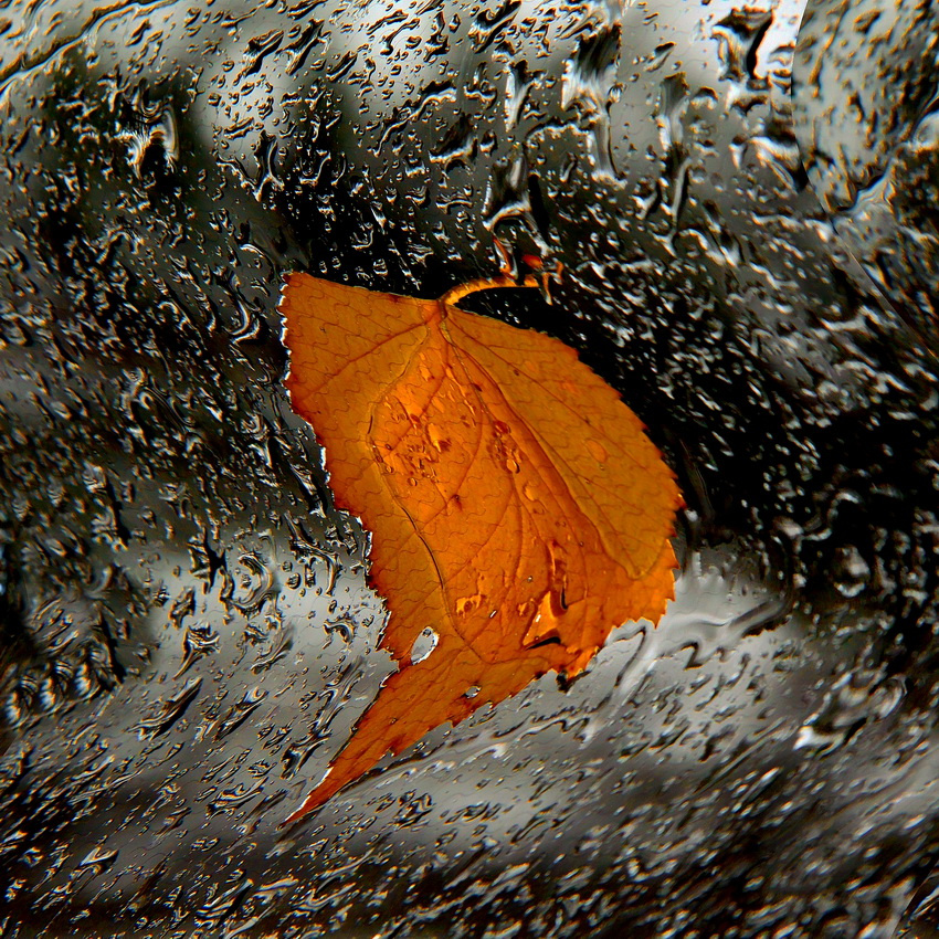 Осень не за горами. 