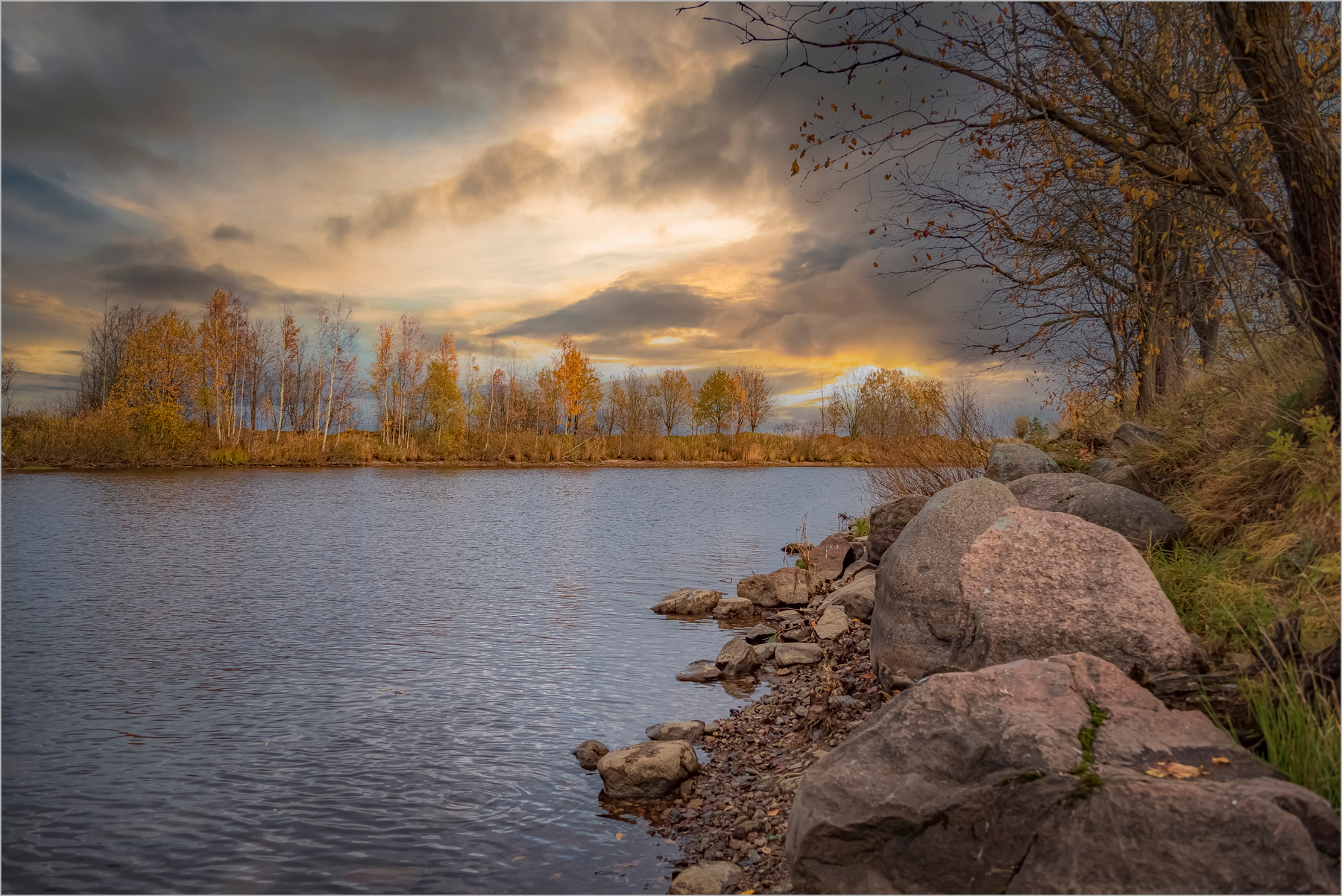 Питерская осень природа