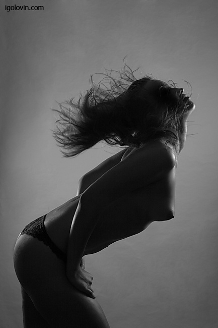 ...IN MOTION... 