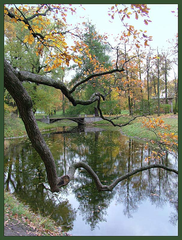 Осенний парк осень, парк