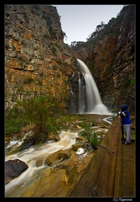 ** Morialta Аделаида Австралия водопад