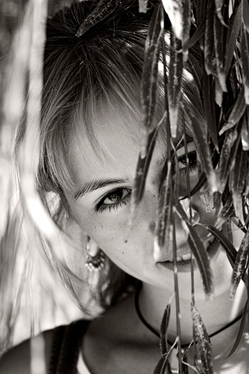 Ivy 2