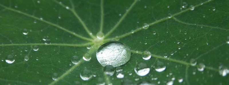 *** капли воды
