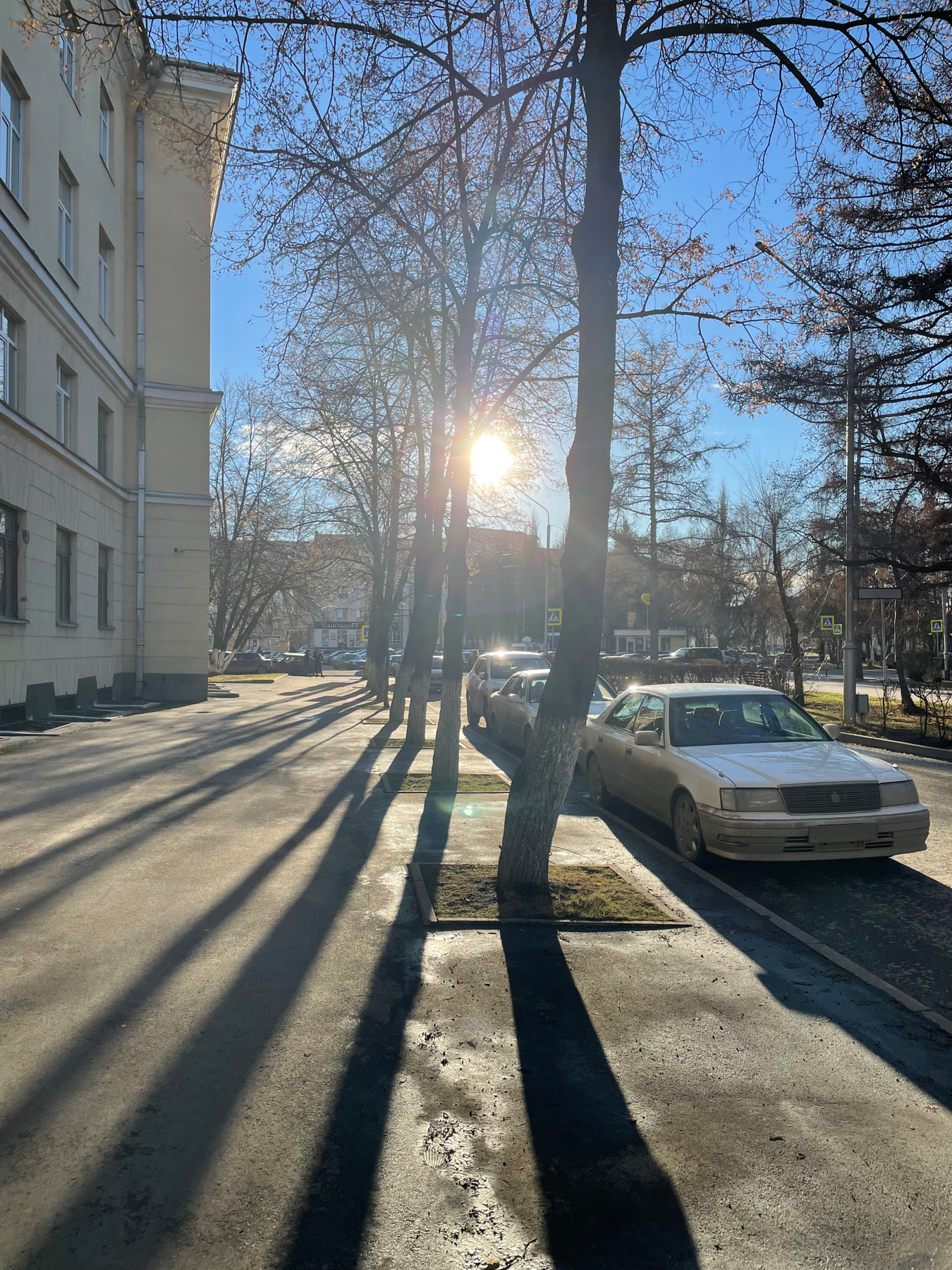 Когда деревья были большими 