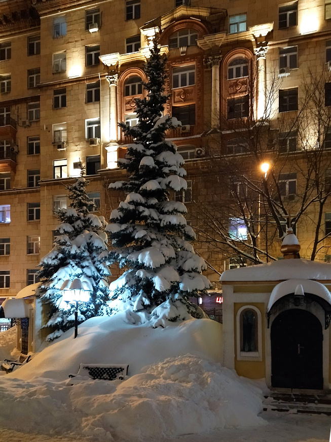 Почти рождественская елка. 