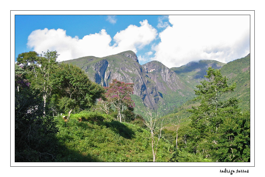 mountain face (Brazil) 