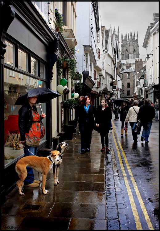 York -27 York England rain