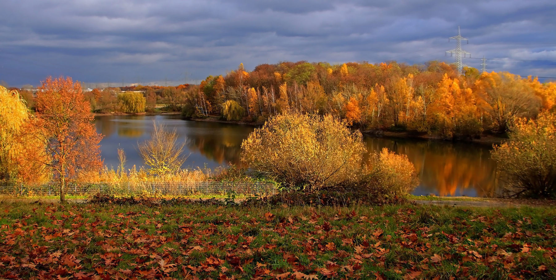 Осени краски 