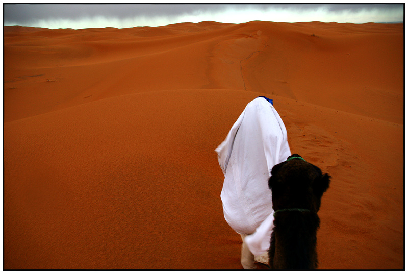 Rain in the Sahara Марокко Morocco