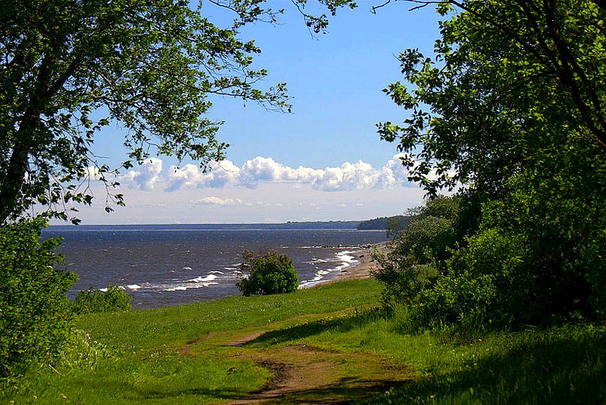 Барашки 