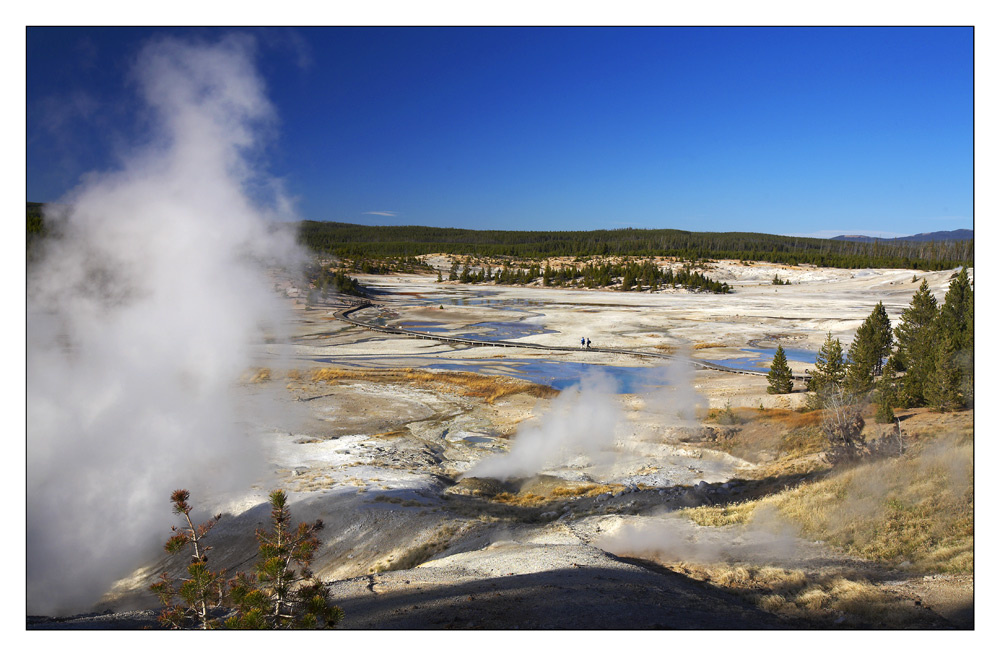 Norris Geyser Basin. Yellowstone. Norris Geyser Basin Yellowstone.