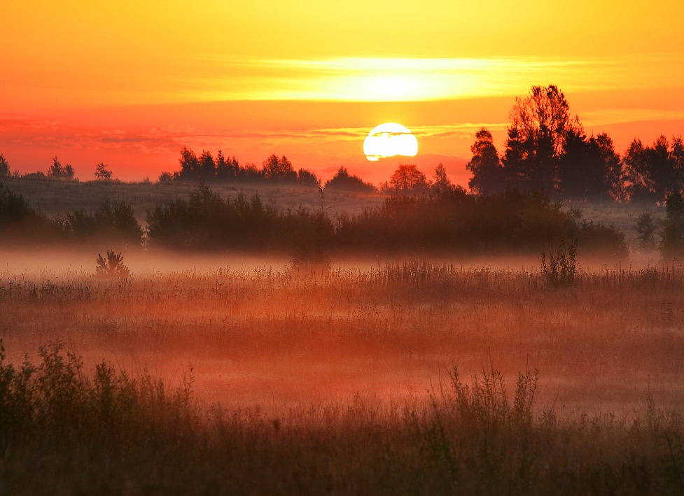 сегодняшний рассвет 
