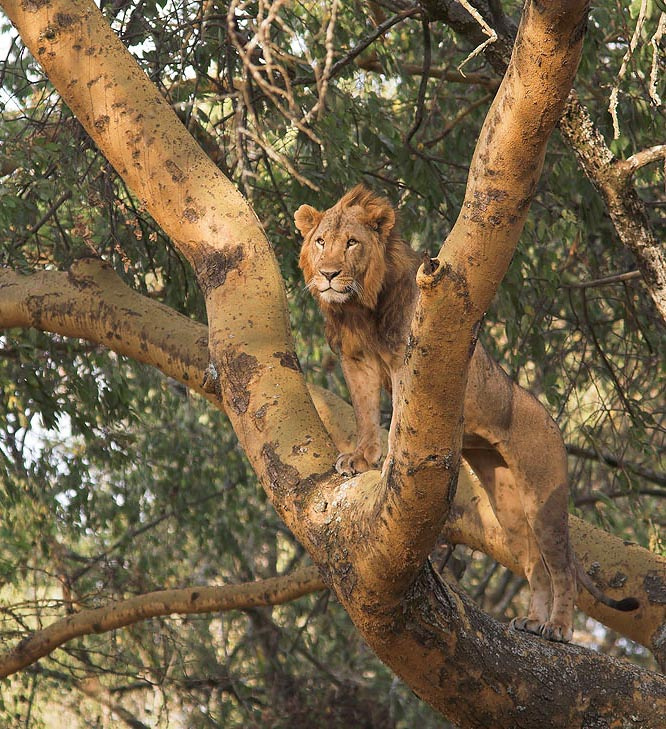 Императорский дозор озеро река девушка горы