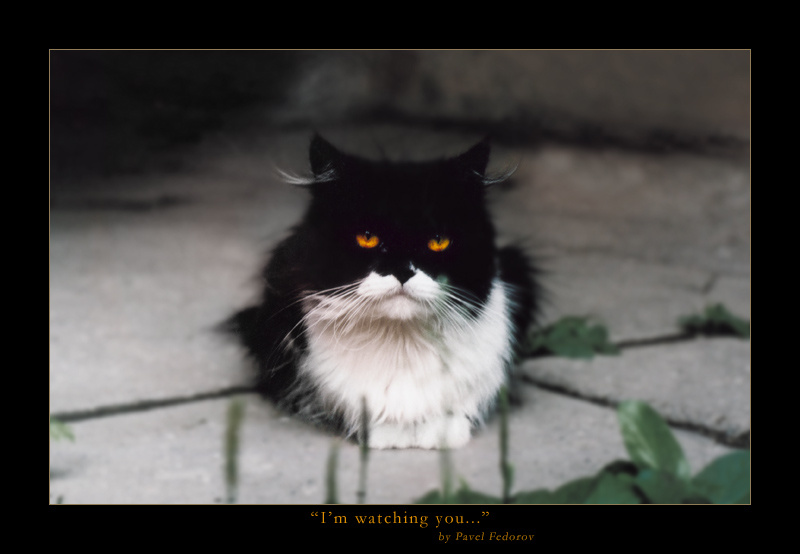 I'm watching you... холод тьма зло