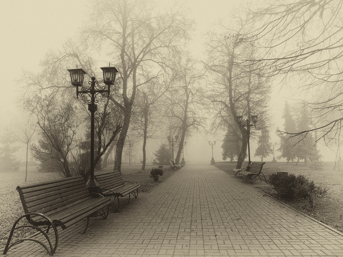 *** пейзаж город.туман