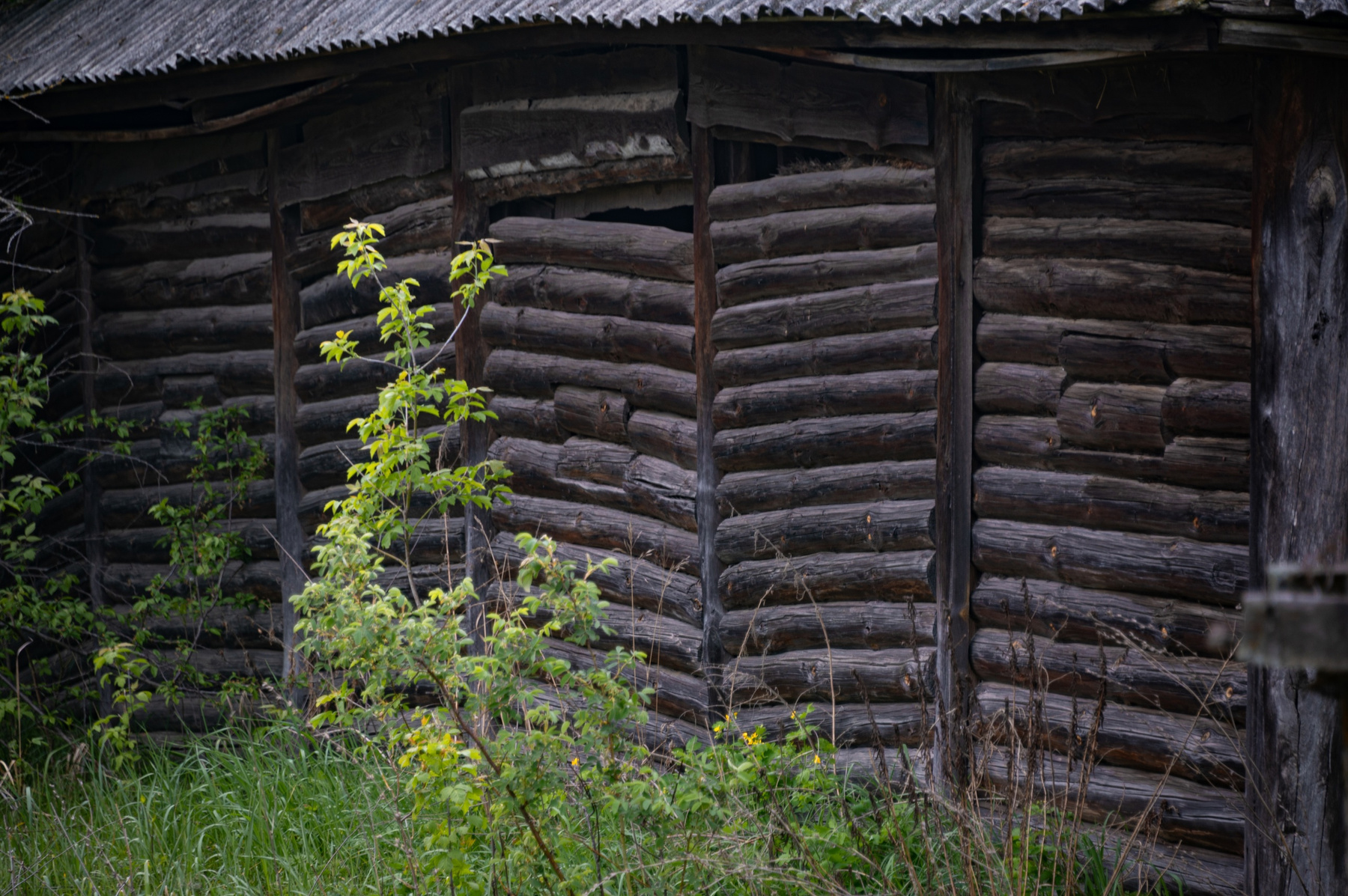 Русский состав 