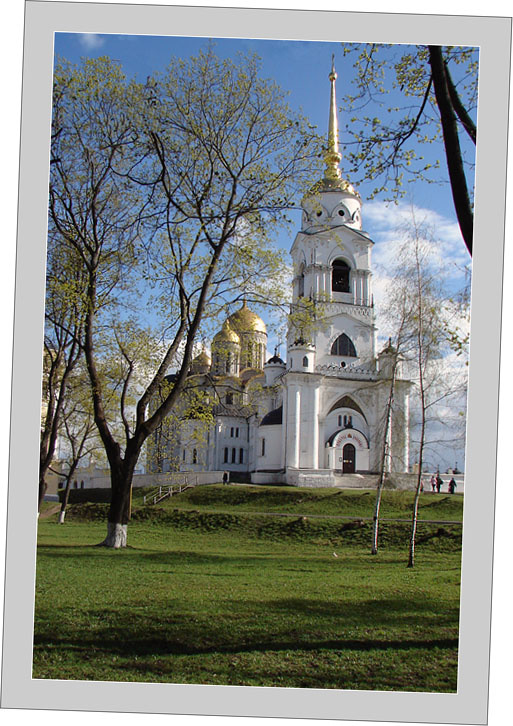Первые листочки... Весна, солнце