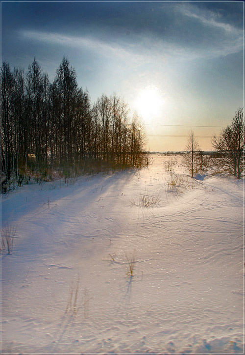 Лес из поезда canon20d
