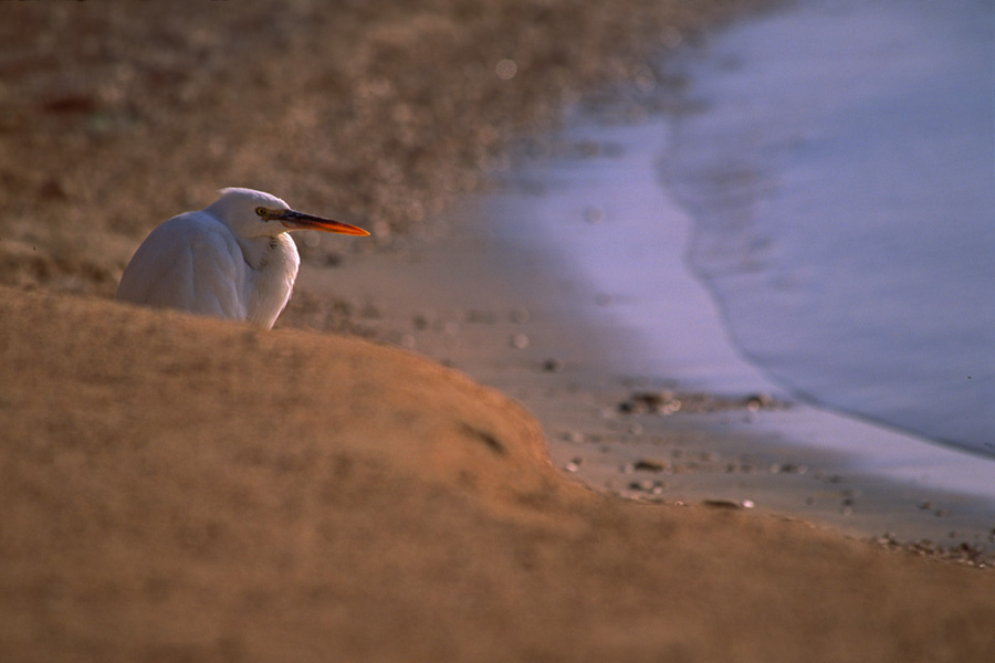 Сектор обзора. 