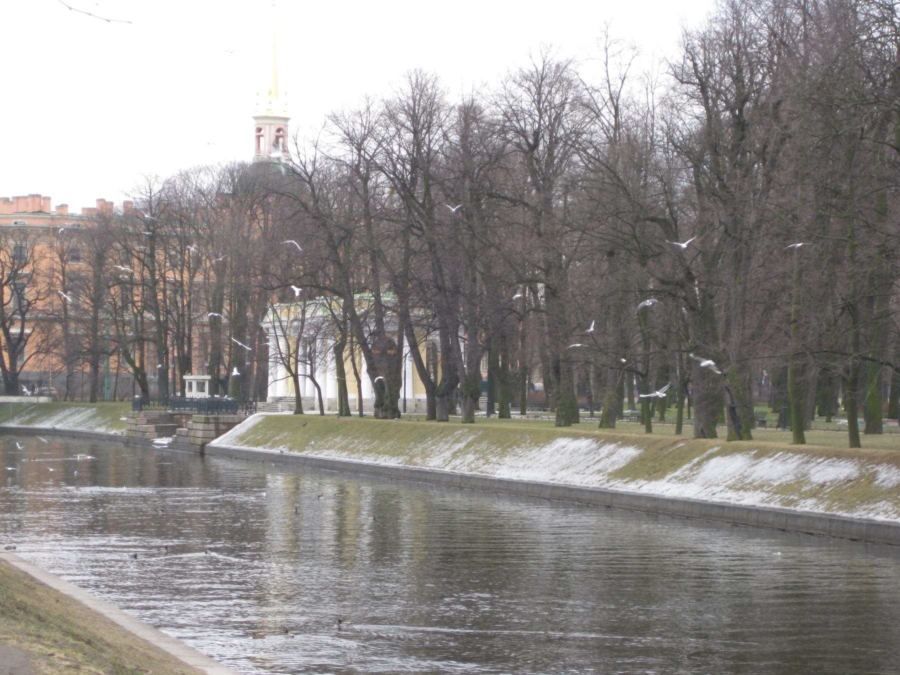 *** город Петербург вода