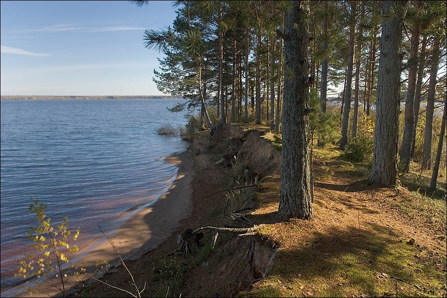 Родные края 