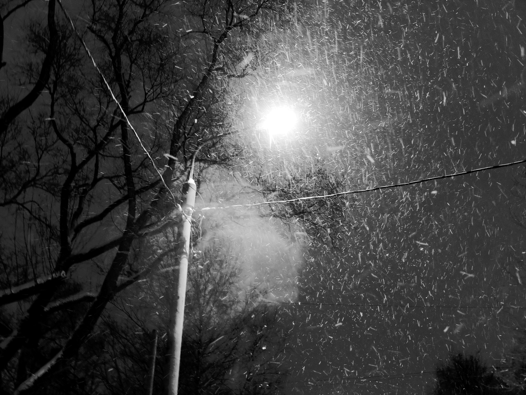 Winterabend Шварц ночь улица фонарь