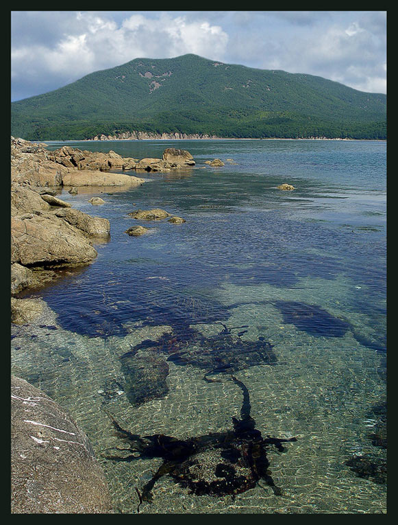 У чёртовых камней Море Камни Водоросли