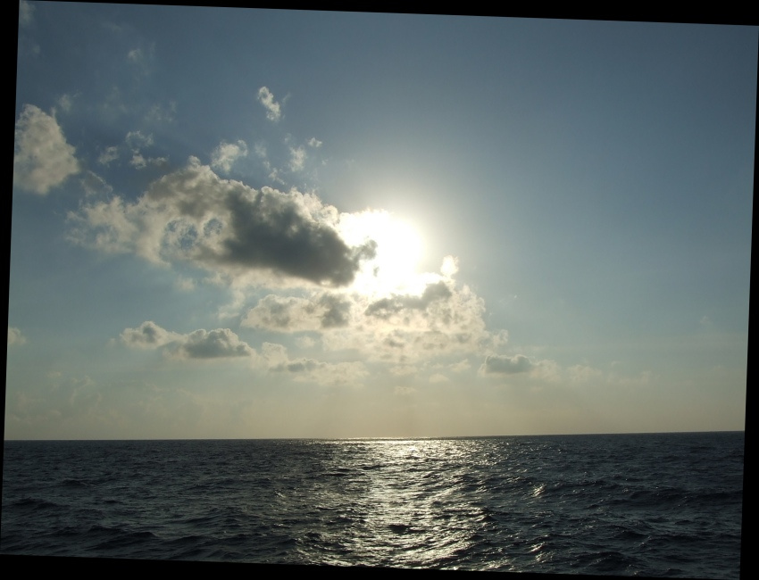 *SUN* 