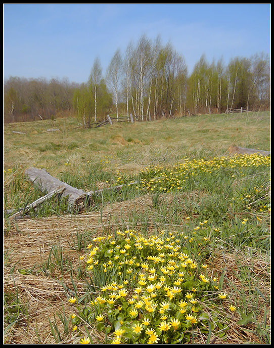 Весенняя. Весна.