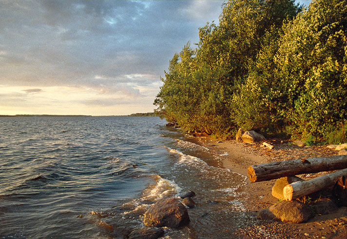 *** 