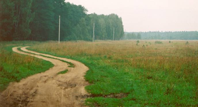 *** поле лес дорога природа пейзаж
