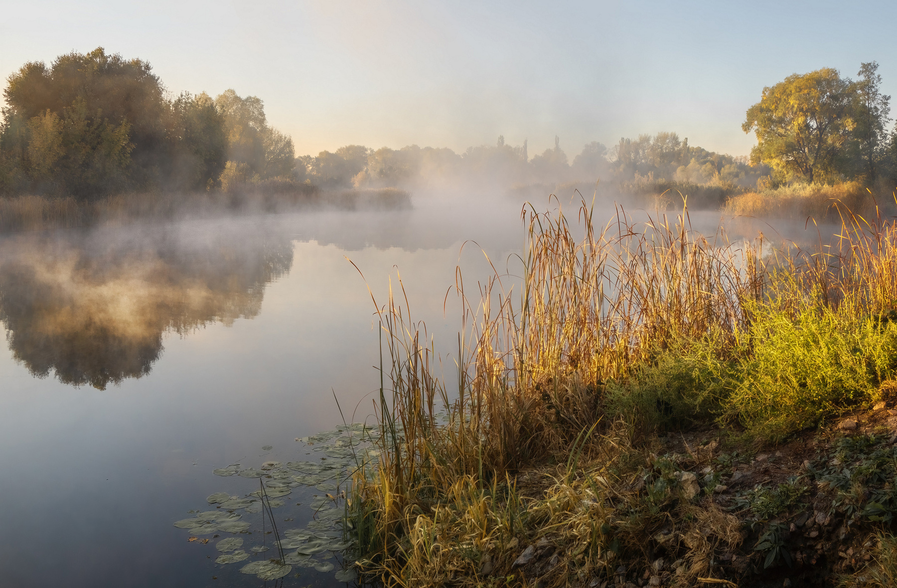 Солнечный туман пейзаж природа осень утро туман река Усманка