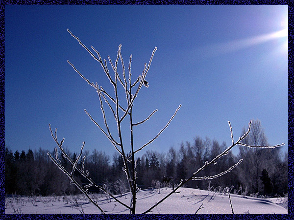 Весеннее солнце Весеннее солнце